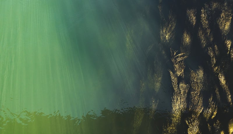 Underwater Scene
